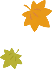 konohasp