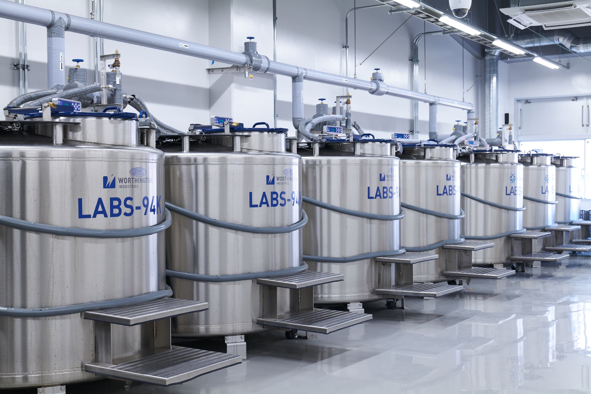 ステムセル研究所