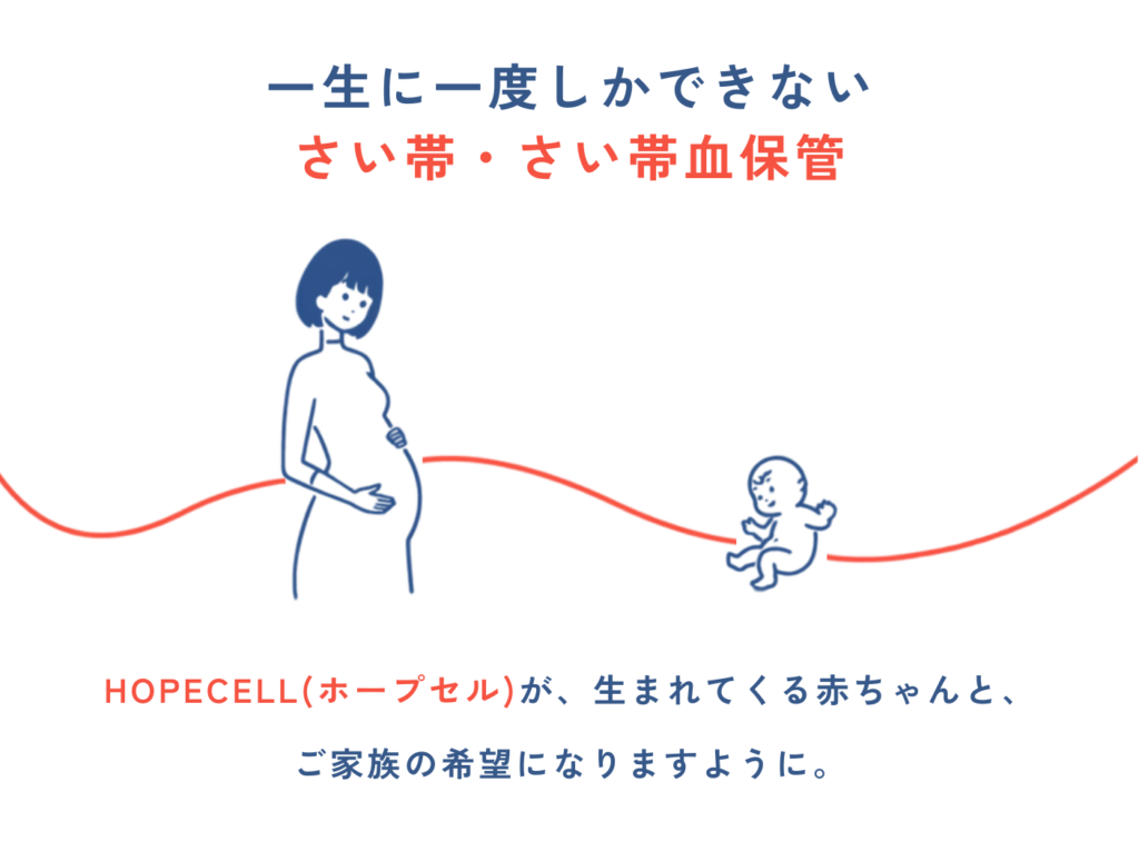 ステムセル